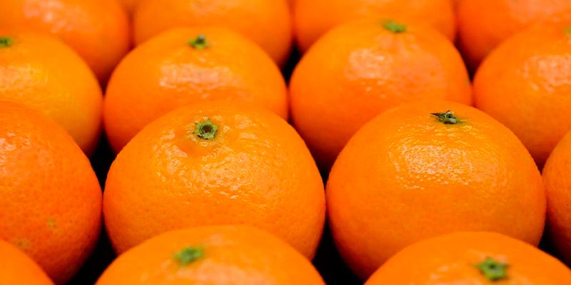Exportadores-buscan-mejorar-aranceles-para-ingreso-de-frutas-frescas-a-Corea-del-Sur